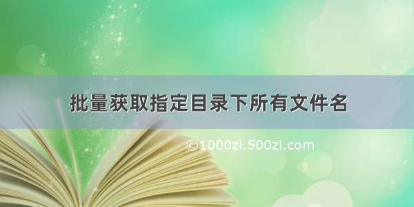 批量获取指定目录下所有文件名