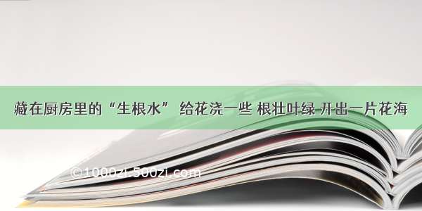 藏在厨房里的“生根水” 给花浇一些 根壮叶绿 开出一片花海