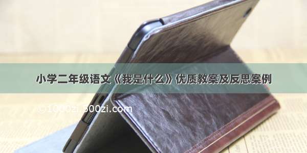 小学二年级语文《我是什么》优质教案及反思案例