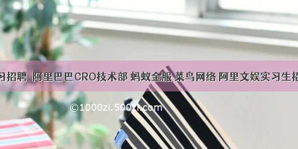 实习招聘│阿里巴巴CRO技术部 蚂蚁金服 菜鸟网络 阿里文娱实习生招聘