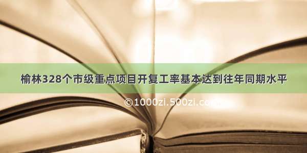 榆林328个市级重点项目开复工率基本达到往年同期水平