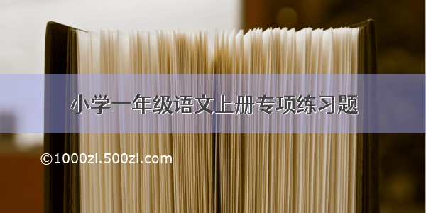 小学一年级语文上册专项练习题