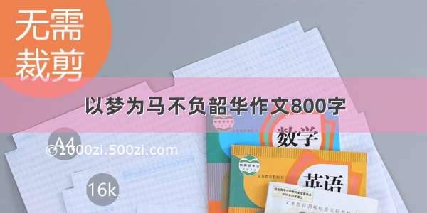 以梦为马不负韶华作文800字