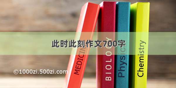 此时此刻作文700字