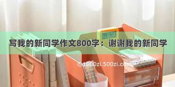 写我的新同学作文800字：谢谢我的新同学