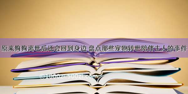 原来狗狗离世后还会回到身边 盘点那些宠物转世陪伴主人的事件