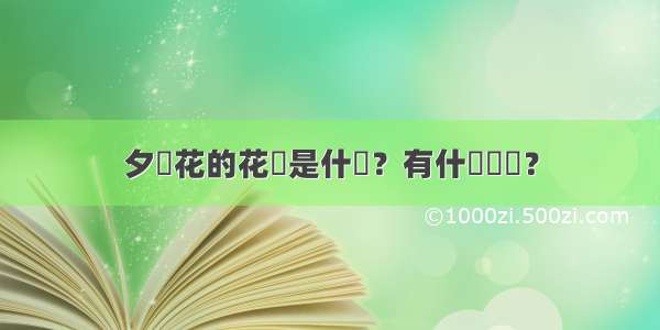 夕顏花的花語是什麼？有什麼傳說？