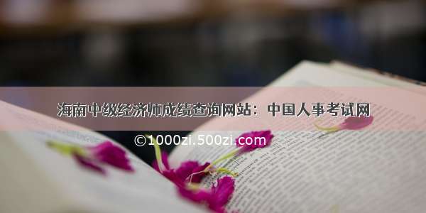 海南中级经济师成绩查询网站：中国人事考试网