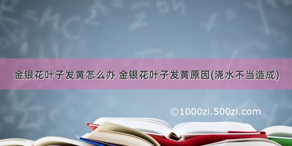 金银花叶子发黄怎么办 金银花叶子发黄原因(浇水不当造成)