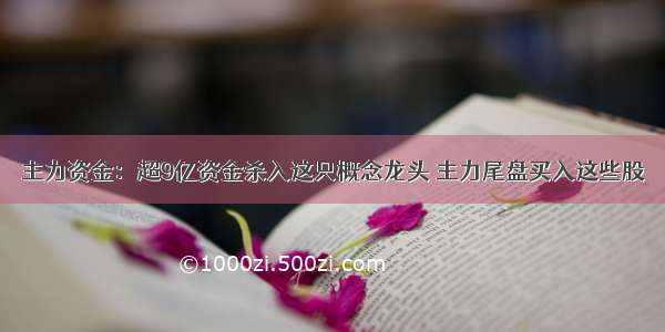 主力资金：超9亿资金杀入这只概念龙头 主力尾盘买入这些股