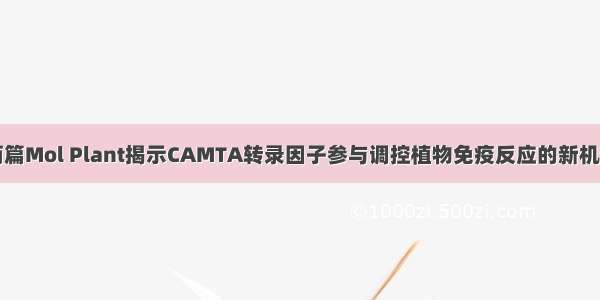 两篇Mol Plant揭示CAMTA转录因子参与调控植物免疫反应的新机制