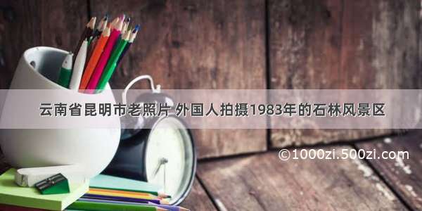 云南省昆明市老照片 外国人拍摄1983年的石林风景区