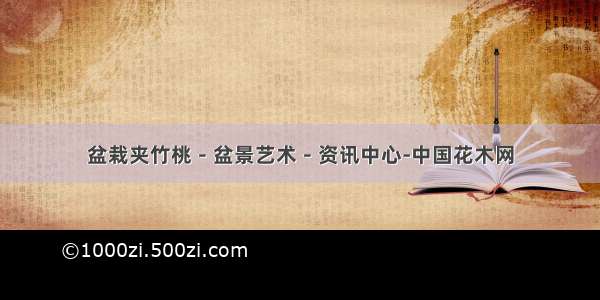 盆栽夹竹桃－盆景艺术－资讯中心-中国花木网