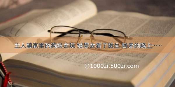 主人骗家里的狗出去玩 结果去看了医生 回来的路上……