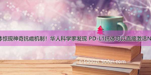 PD-L1抗体惊现神奇抗癌机制！华人科学家发现 PD-L1抗体可以直接激活NK细胞抗癌