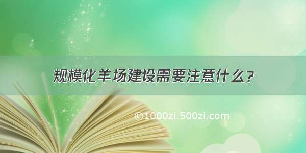 规模化羊场建设需要注意什么？