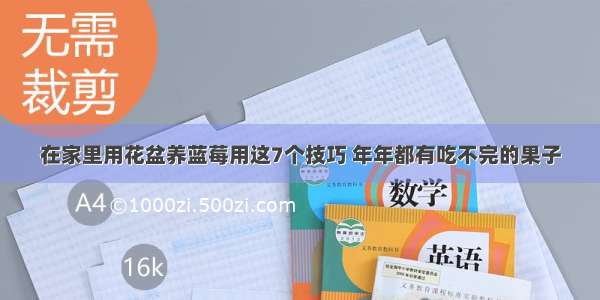 在家里用花盆养蓝莓用这7个技巧 年年都有吃不完的果子