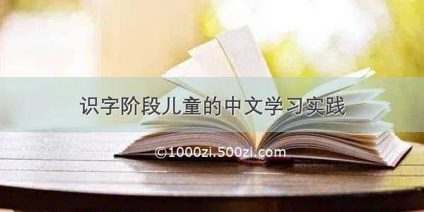 识字阶段儿童的中文学习实践