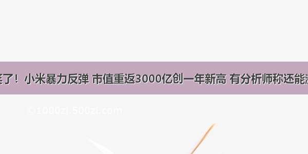 雷军笑了！小米暴力反弹 市值重返3000亿创一年新高 有分析师称还能涨60%