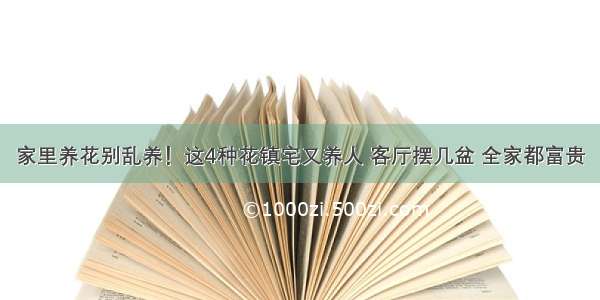 家里养花别乱养！这4种花镇宅又养人 客厅摆几盆 全家都富贵