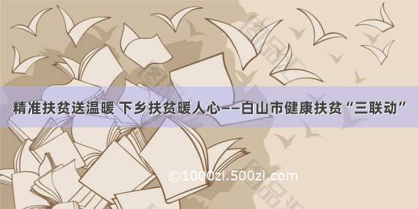 精准扶贫送温暖 下乡扶贫暖人心——白山市健康扶贫“三联动”