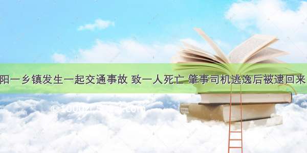 淮阳一乡镇发生一起交通事故 致一人死亡 肇事司机逃逸后被逮回来了！