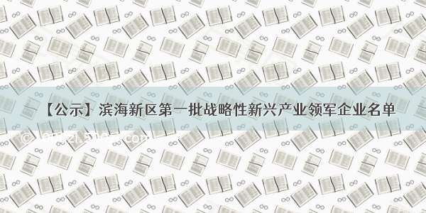 【公示】滨海新区第一批战略性新兴产业领军企业名单