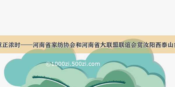 秋意正浓时——河南省家纺协会和河南省大联盟联谊会赏汝阳西泰山红叶