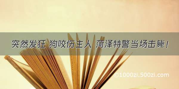 突然发狂 狗咬伤主人 菏泽特警当场击毙！