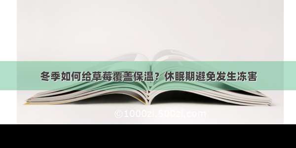 冬季如何给草莓覆盖保温？休眠期避免发生冻害