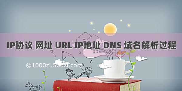 IP协议 网址 URL IP地址 DNS 域名解析过程