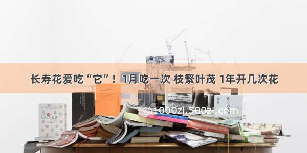 长寿花爱吃“它”！1月吃一次 枝繁叶茂 1年开几次花