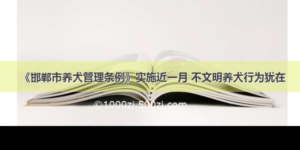 《邯郸市养犬管理条例》实施近一月 不文明养犬行为犹在