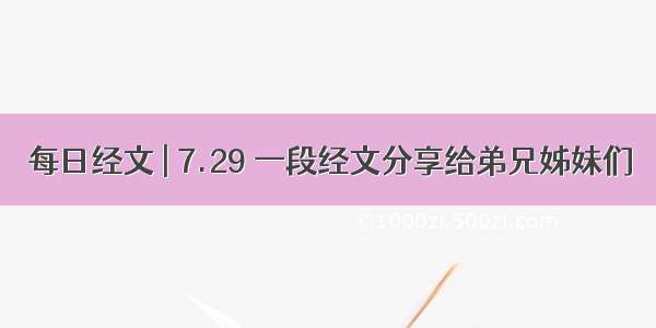 每日经文 | 7.29 一段经文分享给弟兄姊妹们