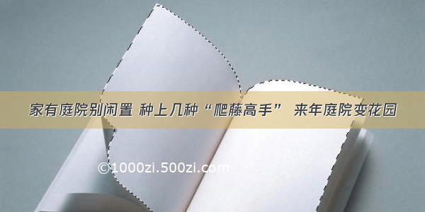 家有庭院别闲置 种上几种“爬藤高手” 来年庭院变花园