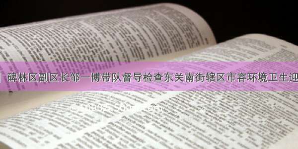 【检查】碑林区副区长邹一博带队督导检查东关南街辖区市容环境卫生迎复审工作