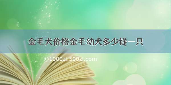 金毛犬价格金毛幼犬多少钱一只