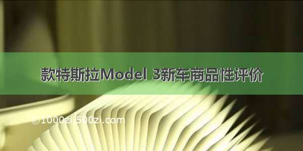 款特斯拉Model 3新车商品性评价