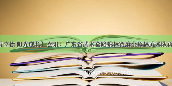 【文武立德 阳光成长】喜讯：广东省武术套路锦标赛麻小象林武术队再创佳绩