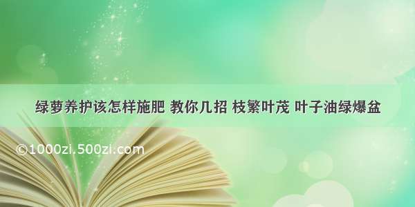 绿萝养护该怎样施肥 教你几招 枝繁叶茂 叶子油绿爆盆