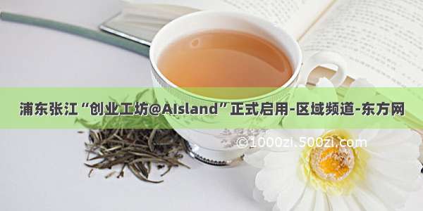 浦东张江“创业工坊@AIsland”正式启用-区域频道-东方网