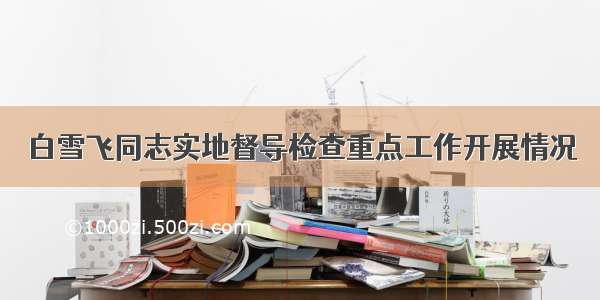 白雪飞同志实地督导检查重点工作开展情况