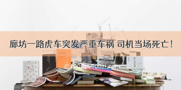 廊坊一路虎车突发严重车祸 司机当场死亡！