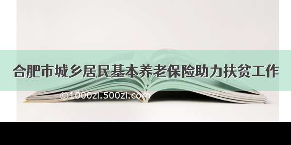 合肥市城乡居民基本养老保险助力扶贫工作