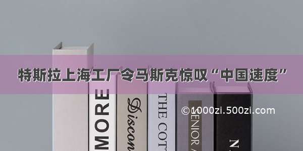 特斯拉上海工厂令马斯克惊叹“中国速度”