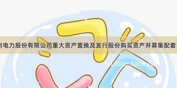 四川岷江水利电力股份有限公司重大资产置换及发行股份购买资产并募集配套资金申请的反