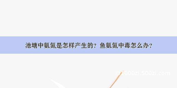 池塘中氨氮是怎样产生的？鱼氨氮中毒怎么办？