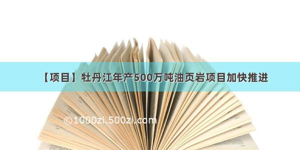 【项目】牡丹江年产500万吨油页岩项目加快推进