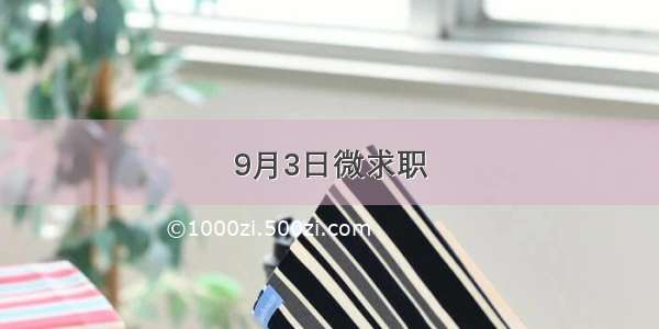 9月3日微求职