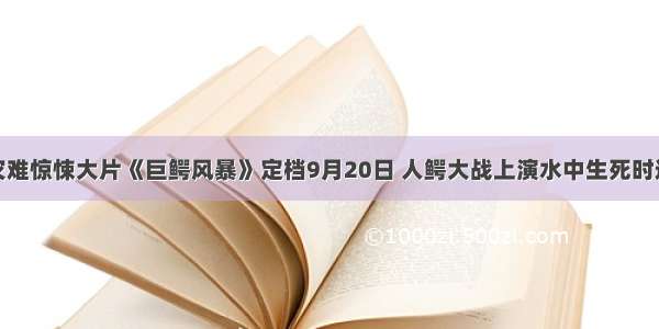 灾难惊悚大片《巨鳄风暴》定档9月20日 人鳄大战上演水中生死时速